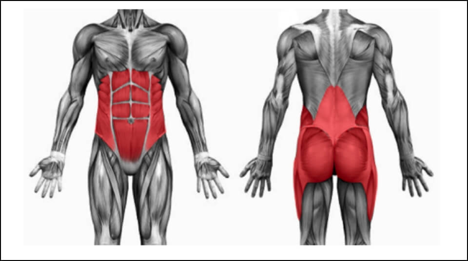 core fisioterapeuta osteopata palma de mallorca